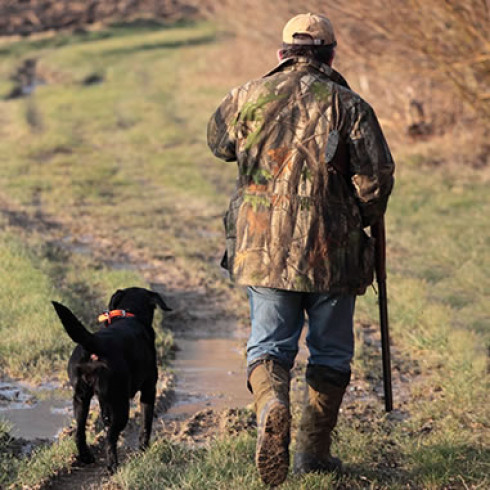 Da mercoledì 20 agosto parte la distribuzione dei Tesserini Venatori Regionali