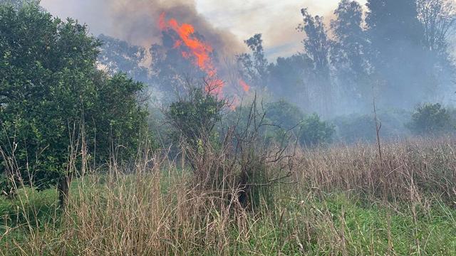 Ordinanza Dirigenziale nr. 26/2026